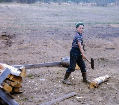 picking up sticks