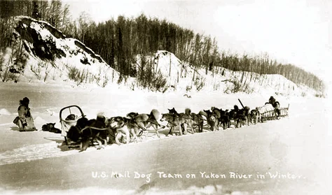 sled dog mail