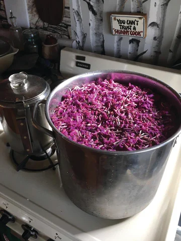 Purple cabbage being cooked in a large pot