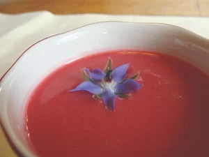 Display of raspberry rhubarb dessert soup