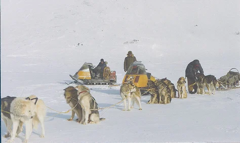 Breaking the Iditarod Trail