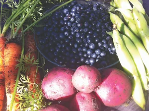 Assortment of Alaskan fruits and vegetables.
