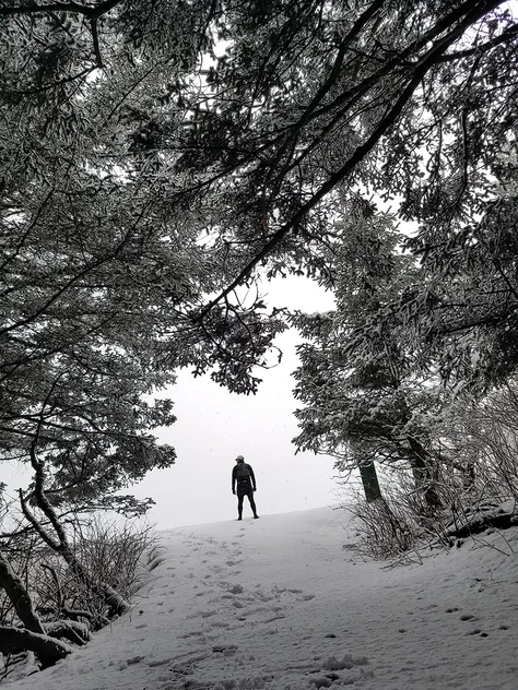 trail running in kodiak