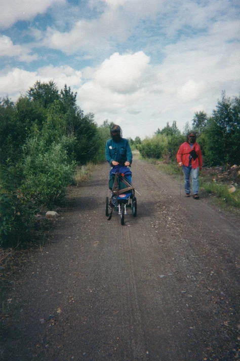 iditarod mystery